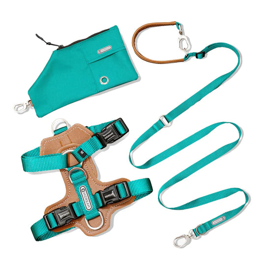Comfort Green Dog Set - Harness & Leash & Bag