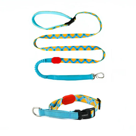 Magic Yellow Dog Set - reflective Collar & Leash