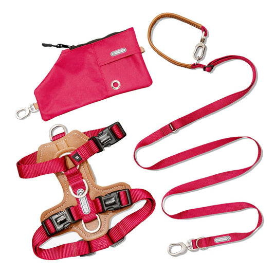 Comfort Red Dog Set - Harness & Leash & Bag