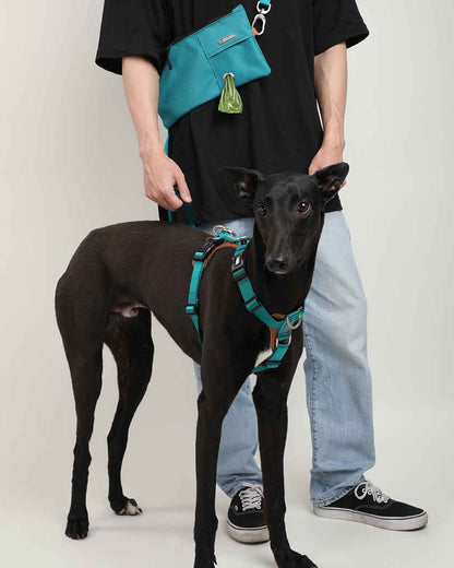 Comfort Green Dog Set - Harness & Leash & Bag