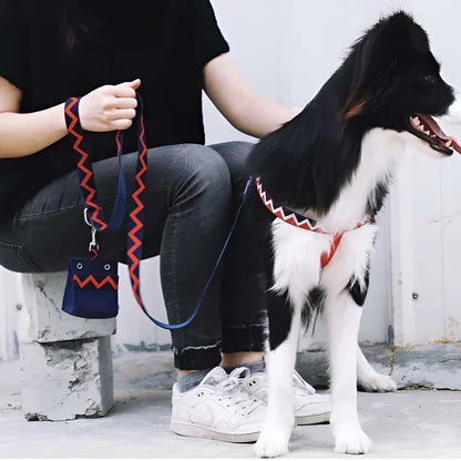 Walking Blue - Dog Harness Y-Type