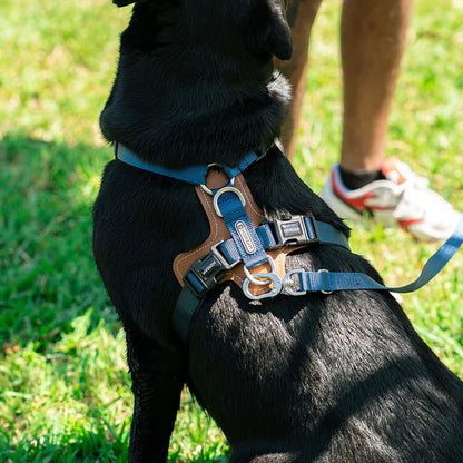 Comfort Green Dog Set - Harness & Leash & Bag