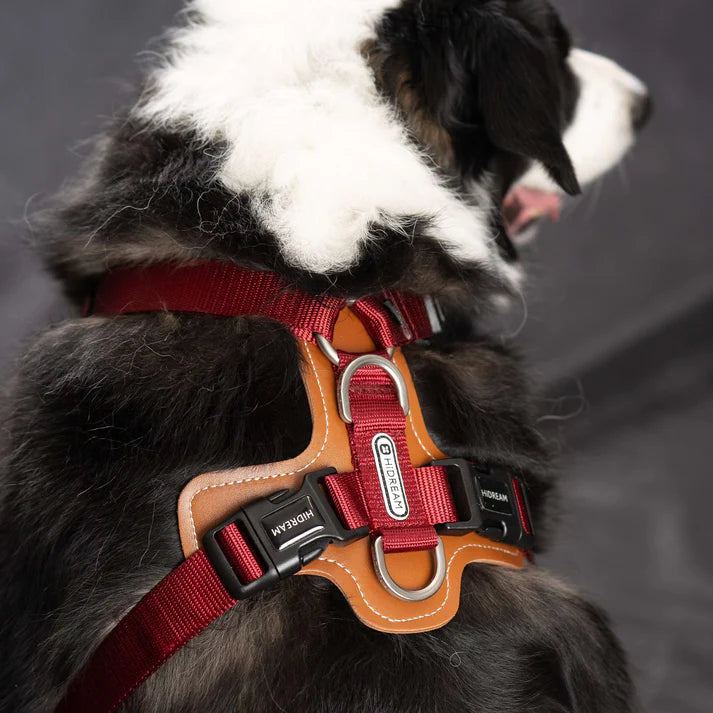 Comfort Red - dog Harness