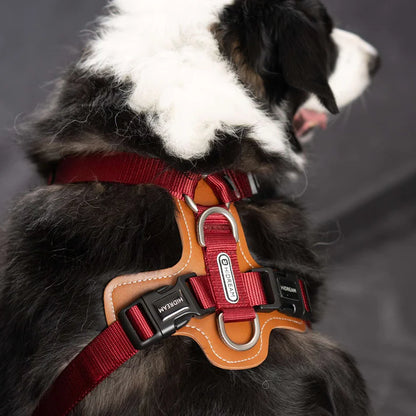 Comfort Red Dog Set - Harness & Leash & Bag