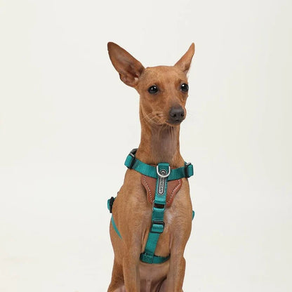 Comfort Green - dog Harness