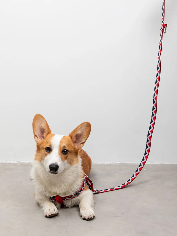 Walking Red - "Hands-free" 4-in-1 Leash