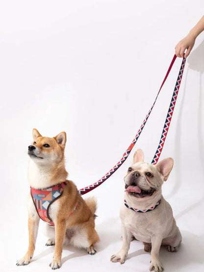 Walking Green - "Hands-free" 4-in-1 Leash