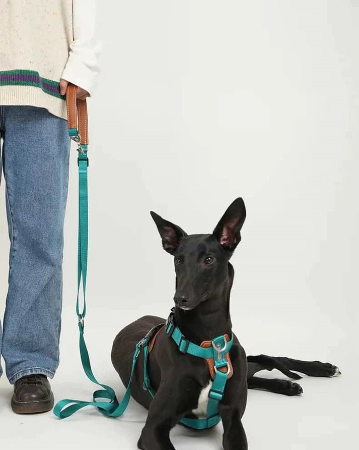 Comfort Green - dog "Free hands" Leash 4-in-1