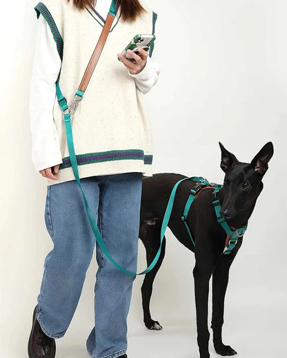 Comfort Green - dog "Free hands" Leash 4-in-1