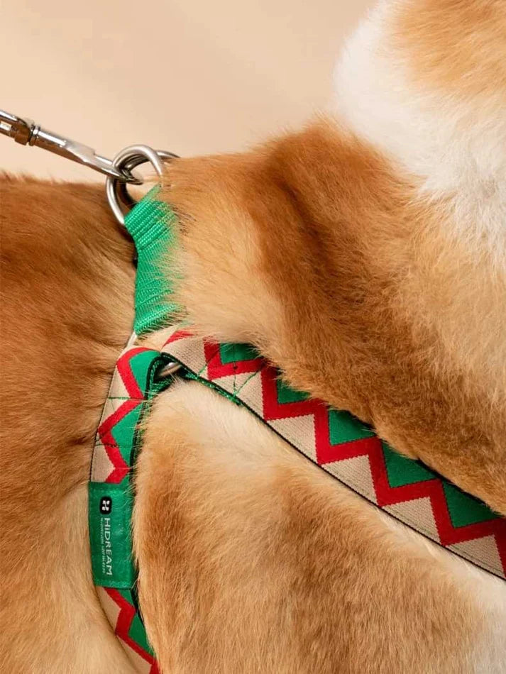 Walking Green - Dog Harness Y-Type