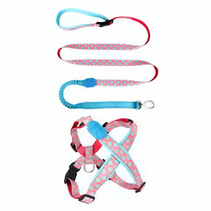 Magic Yellow Dog Set - Harness & reflective Leash