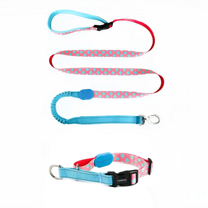 Magic Yellow Dog Set - reflective Collar & Leash