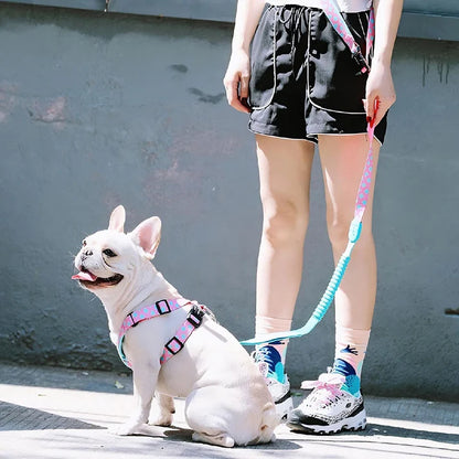 Magic Pink - reflective Leash 3-in-1