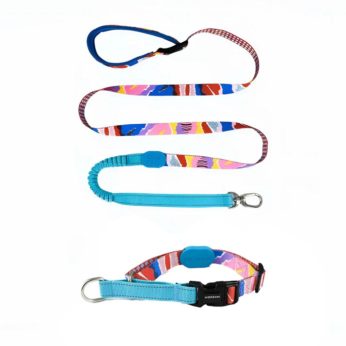 Magic Yellow Dog Set - reflective Collar & Leash