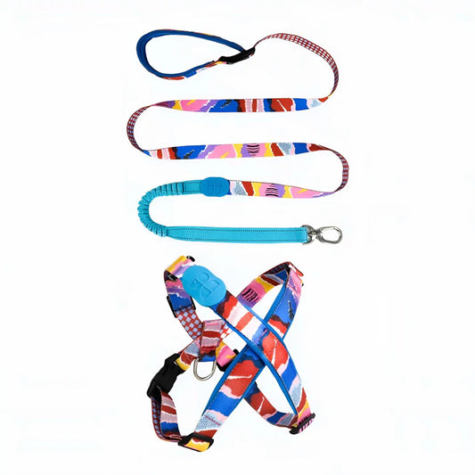 Magic Purple Dog Set - Harness & reflective Leash