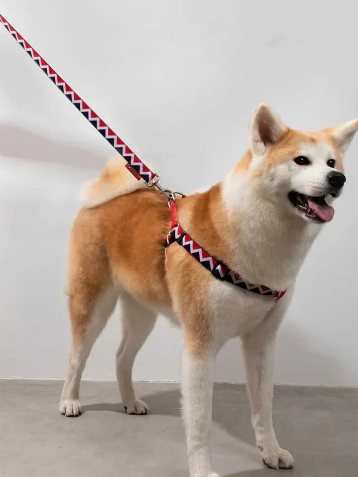 Walking Red - Dog Harness Y-Type