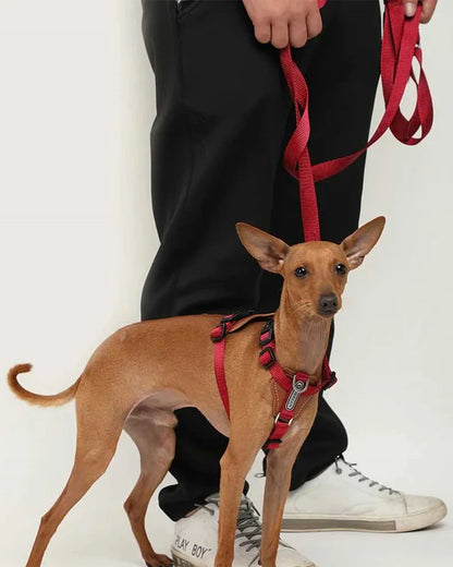 Comfort Red - dog Harness